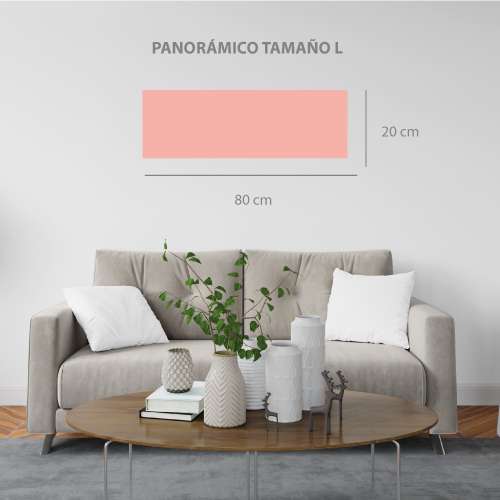 Cuadro-panorámico-Koi-L