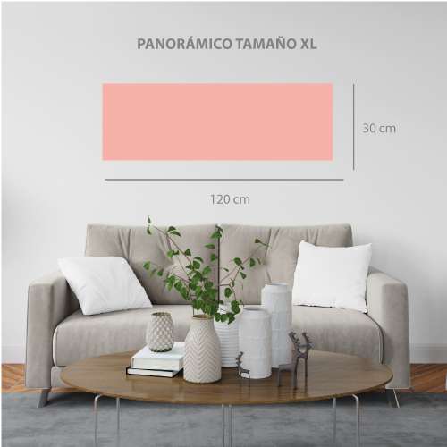 Cuadro-panorámico-koi-XL