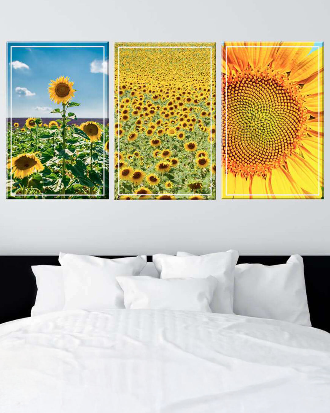 Set de 3 cuadros de girasoles