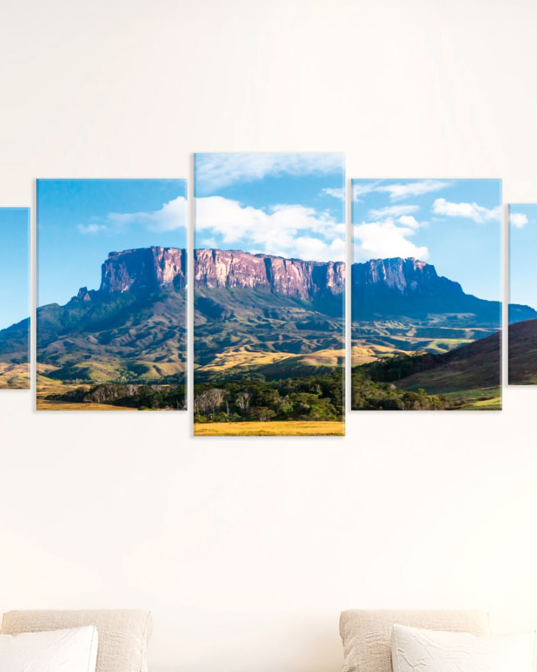 Cuadros Tepuy Kukenán Gran Sabana