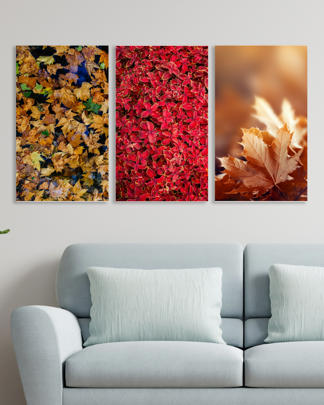 Set de 3 cuadros de flores y plantas de otoñales