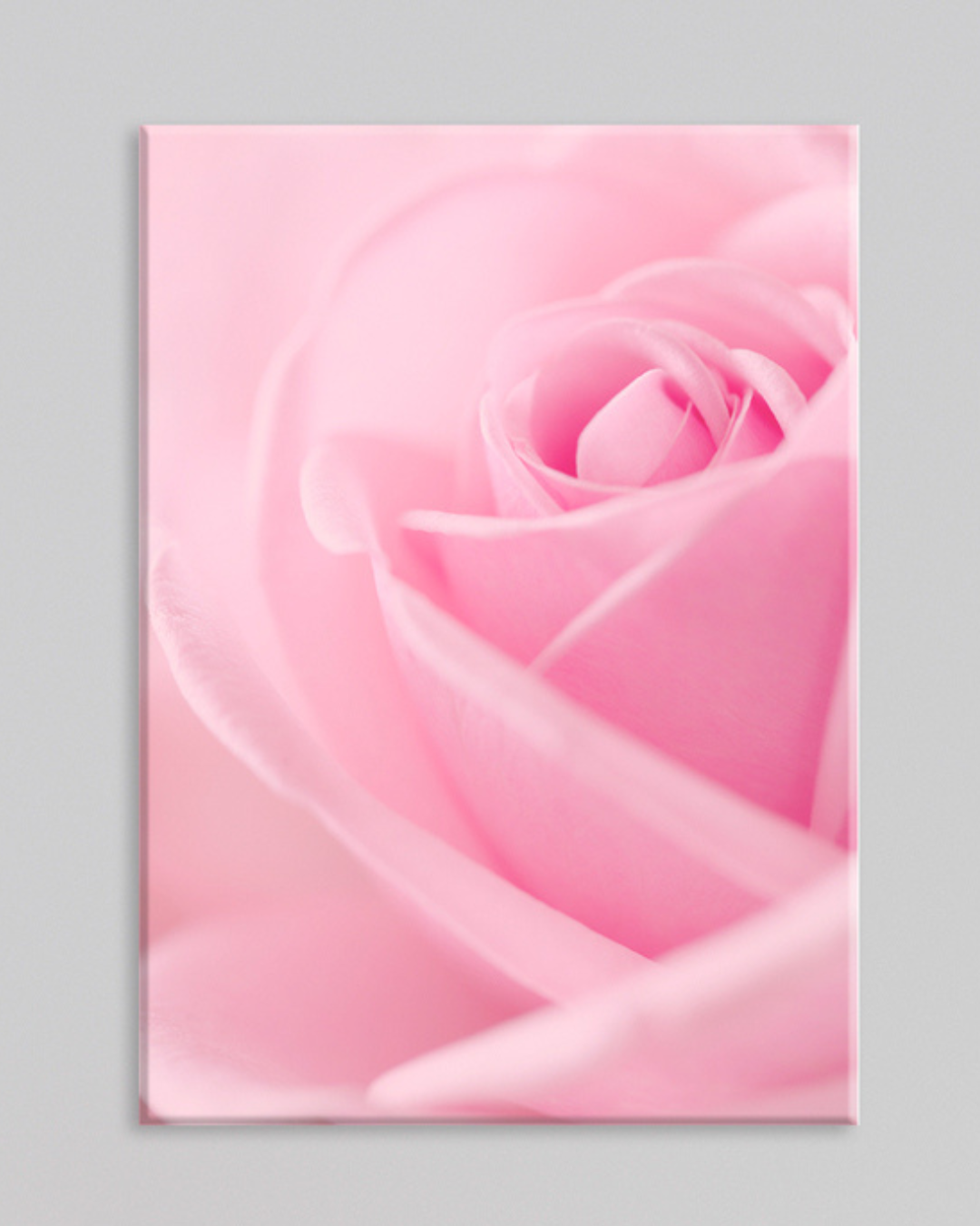 Cuadro Flor Rosa