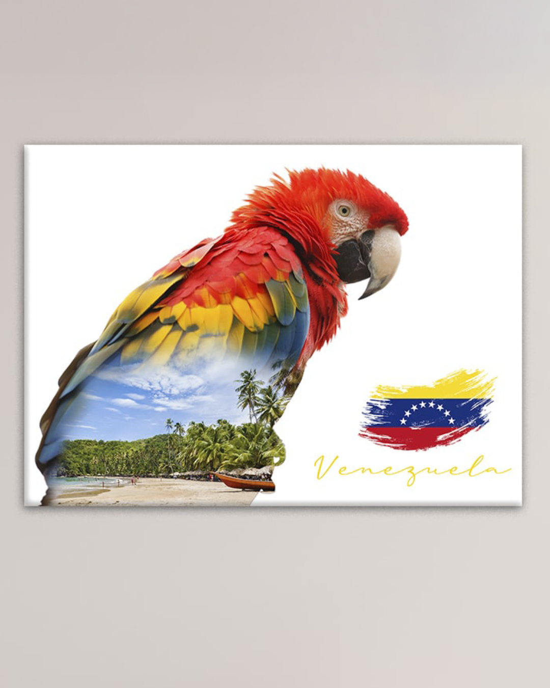 Cuadro de Guacamaya - Venezuela