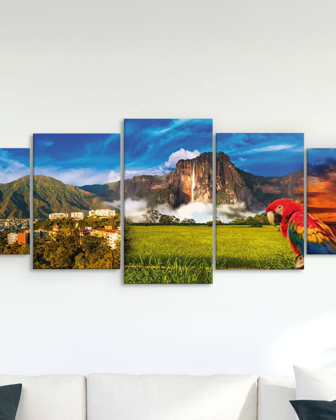 Paisajes variados de Venezuela y guacamaya
