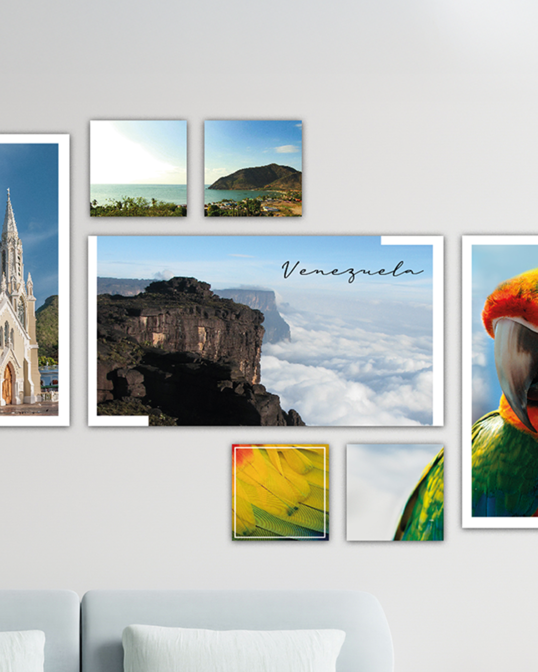 Paisajes de Venezuela y Fauna