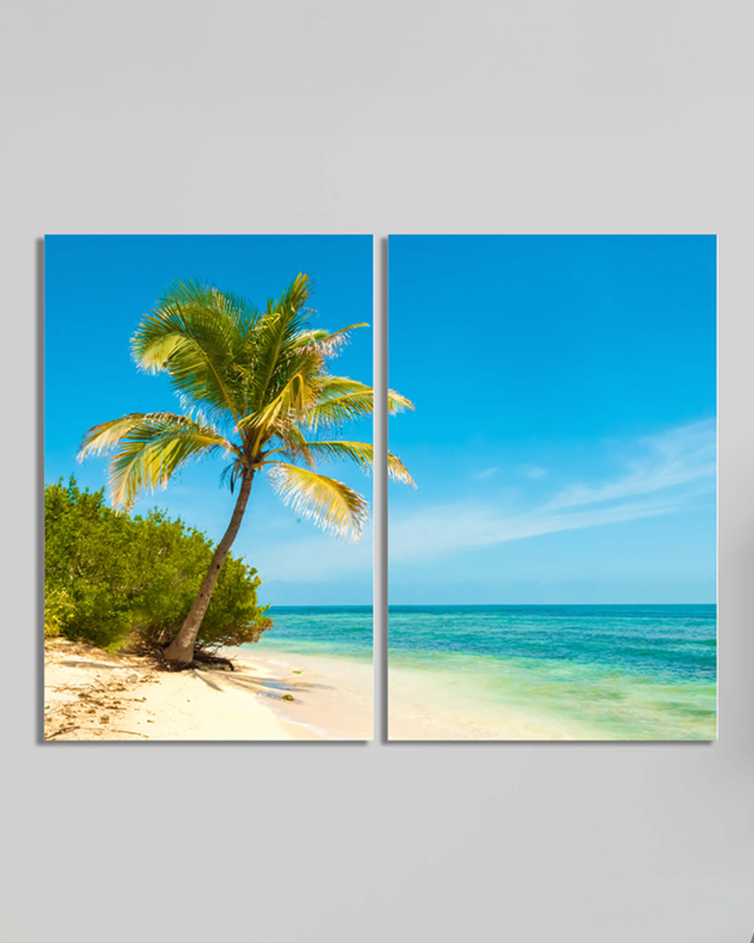 Cuadro de Cayo Sombrero Venezuela