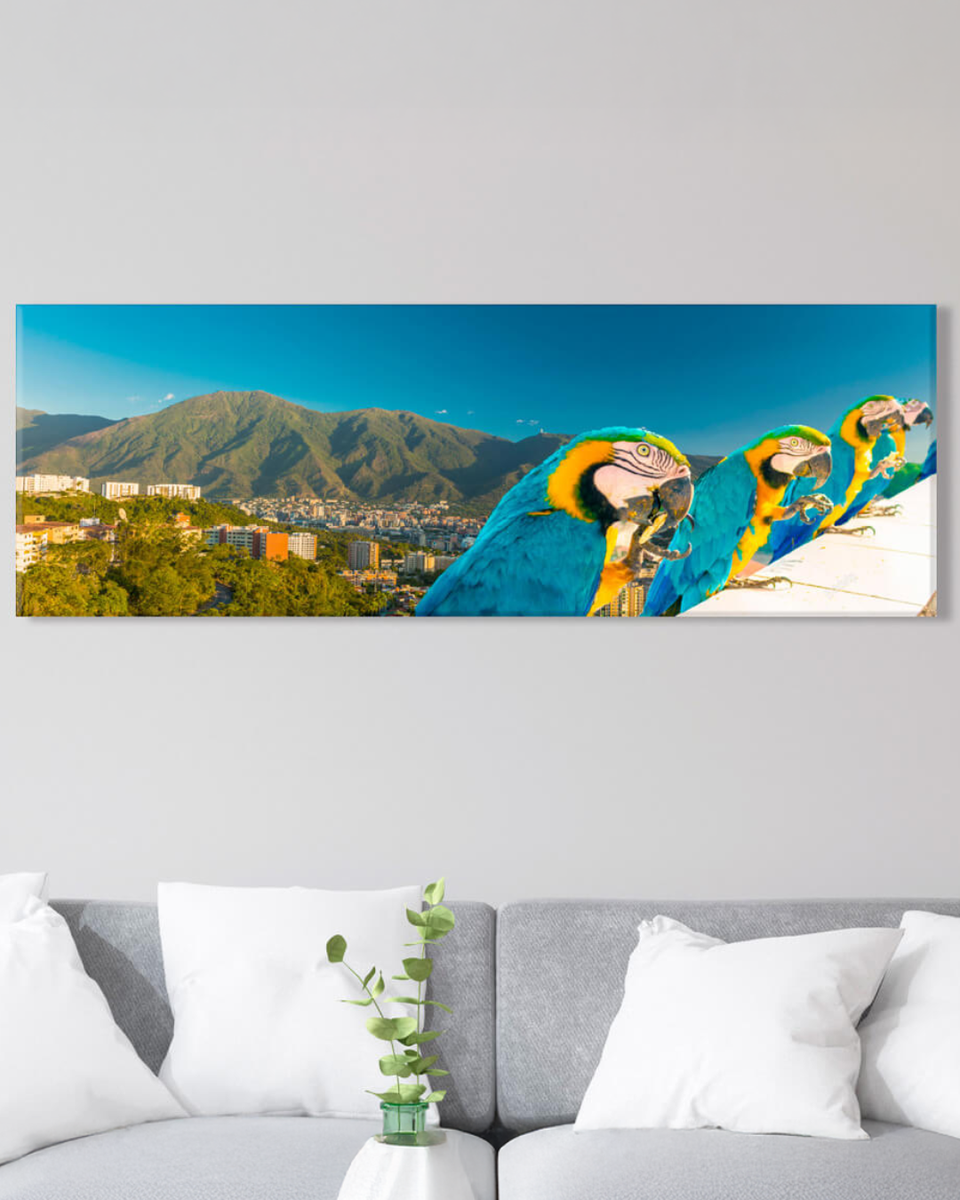 Cuadro Panorámico de El Ávila con Guacamayas