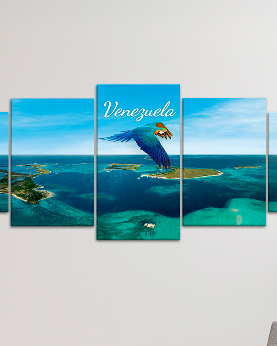 Cuadro de los Roques y Guacamaya