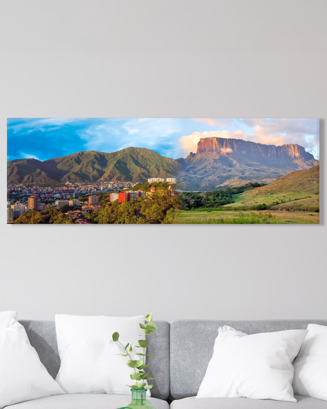 Cuadro Panorámico de El Ávila y El Tepuy