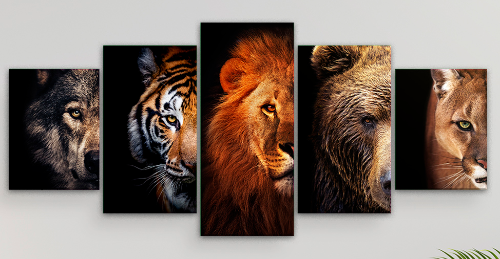 Cuadros de animales salvajes