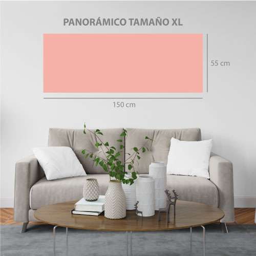 cuadro-original-panorámico-xl