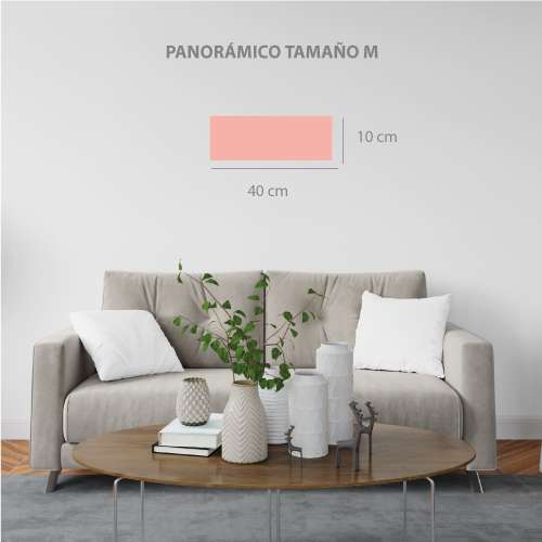 cuadro-panorámico-Koi