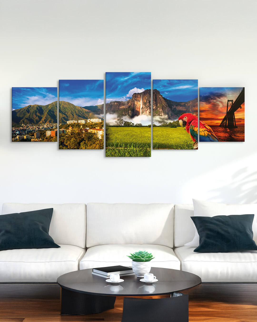 Paisajes variados de Venezuela y guacamaya