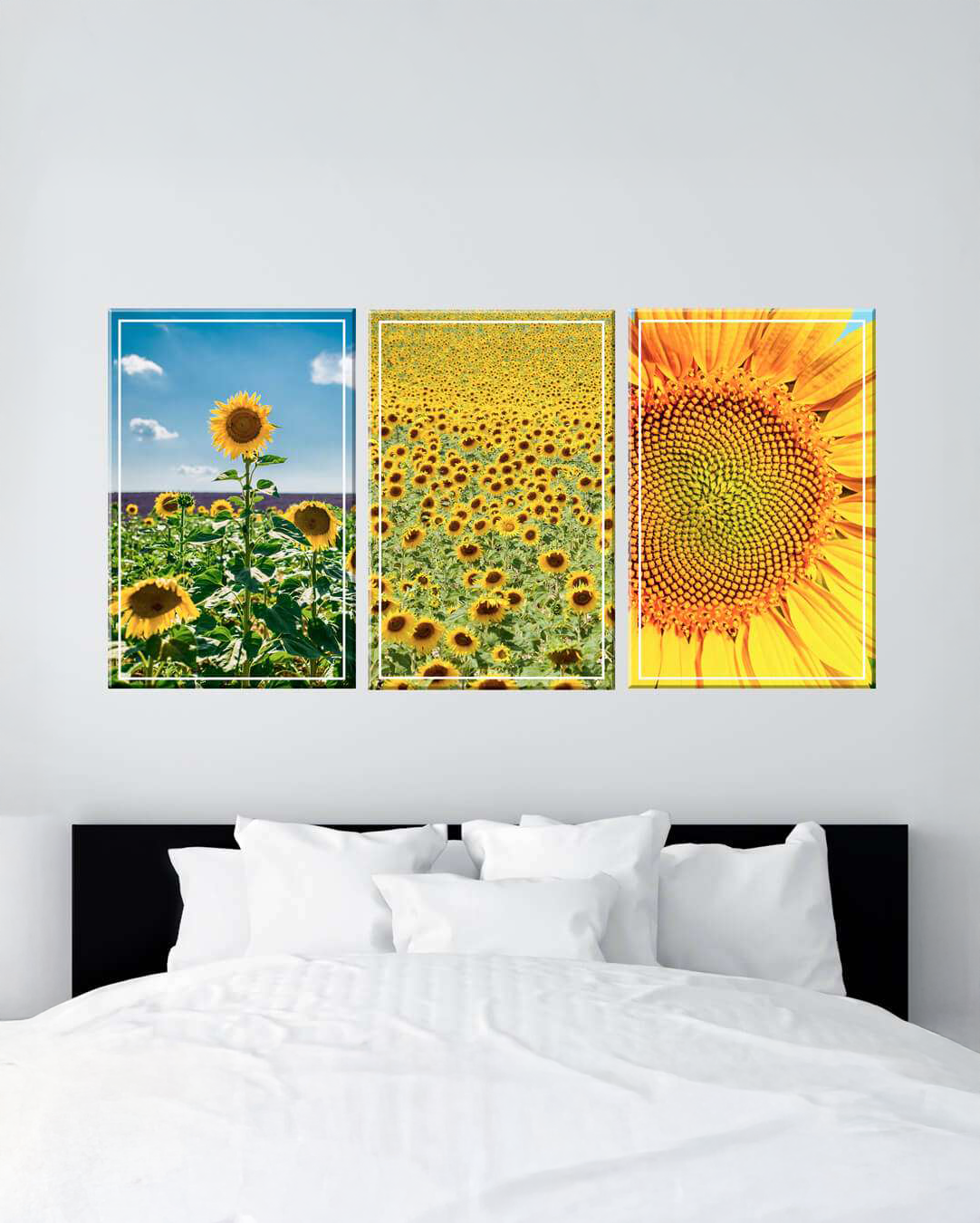 Set de 3 cuadros de girasoles